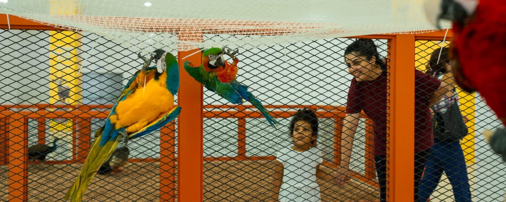 Reem Mall Launches Indoor Petting Zoo With Interactive Animal Encounters “Nature Comes To You From August 3rd – September 2nd, 2024”